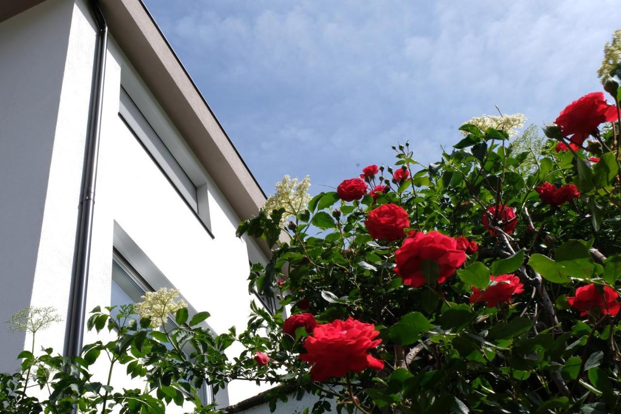 Apartment Le Rose Di Marianne - Ovest Vahrn Kültér fotó